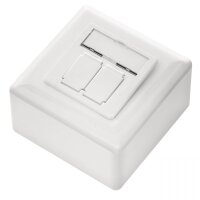 Patchdose Cat.6a 2x RJ45 Aufputz