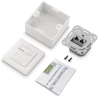 Patchdose Cat.6a 2x RJ45 Aufputz